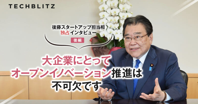 投資と金融 資本主義経済の不安定性/日本経済評論社/ハイマン・フィリップ・ミンスキ-（単行本） 投資と金融: 資本主義経済の不安定性 (ポスト・ケインジアン叢書